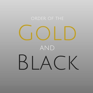 Team Gold and Black - Plant HS